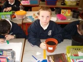 Planting a seed 17-11-08 026